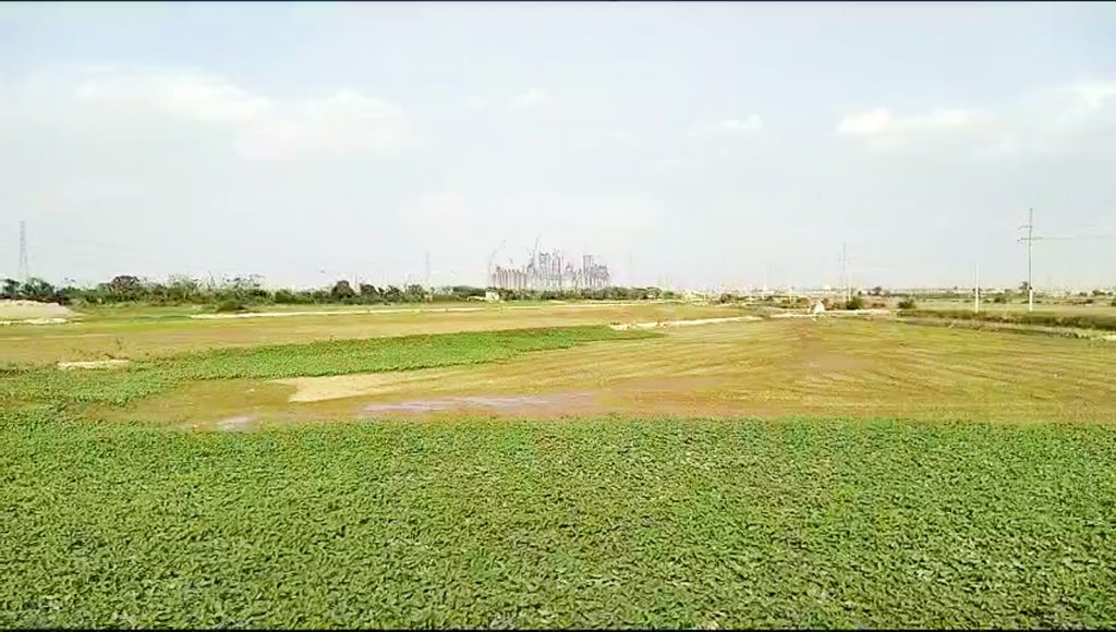 Cánh đồng phía Nam Hà Nội nơi xây sân vận động Trống Đồng và khu đô thị Vinhomes Olympic Ngọc Hồi, xa xa là các toà nhà cao tầng
